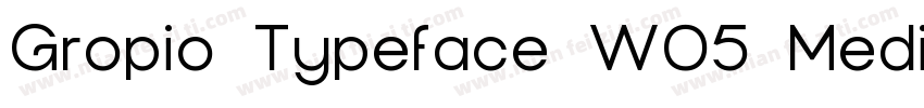 Gropio Typeface W05 Medium字体转换